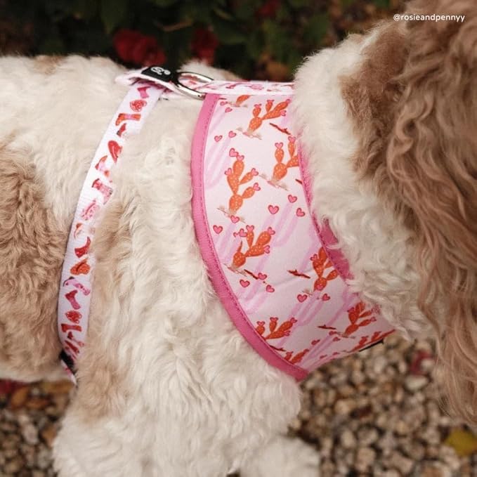 Lucy & Co. Little Lamb Adjustable Dog Collar- Cute Designer Pet Collar - Image 3