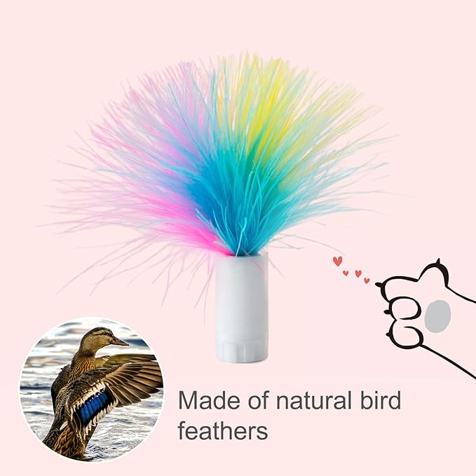 ORSDA 6PCS Feathers Replacement ONLY Interactive Cat Toys - Image 6