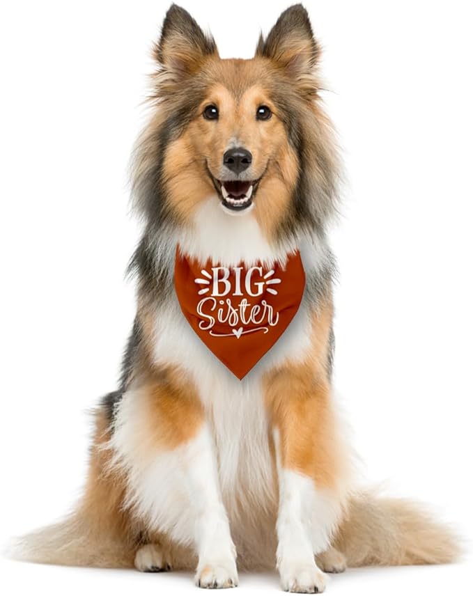 Big Sister Bandana for Dogs, Pet Pregnancy Announcement, Dark Orange Dog Bandana - Image 3