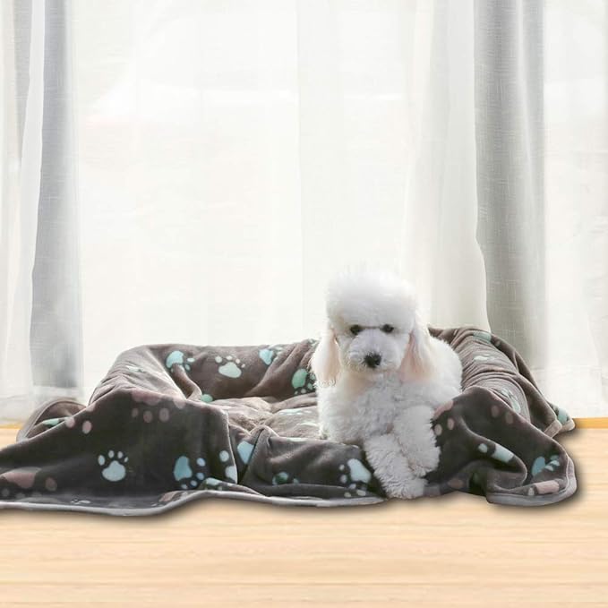 Allisandro 350 GSM-Super Soft and Premium Flannel Fleece Pet Dog Blanket - Image 6