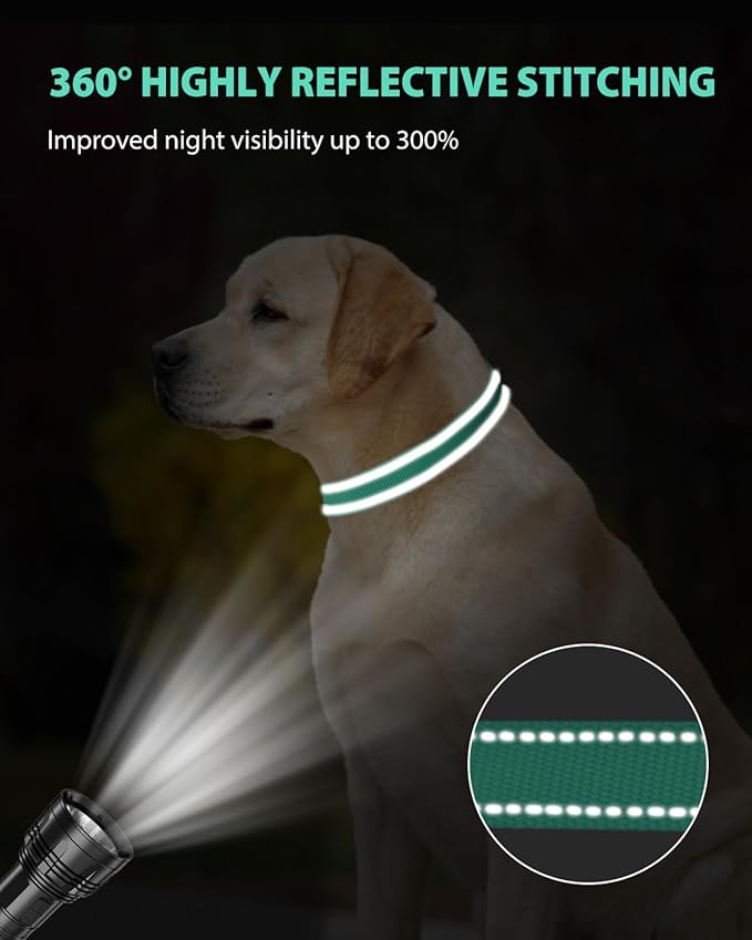 Joytale Reflective Dog Collar, Adjustable Nylon Pet Collar - Image 5