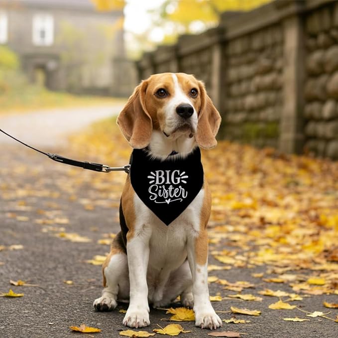 Big Sister Bandana for Dog, Pet Pregnancy Announcement, Big Sister Dogs Shirt - Image 5