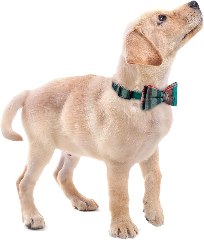 Faleela Cute Soft Girl Christmas Dog Collar - Image 5