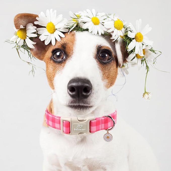 Girl Dog Collar for Large Dogs - Image 7