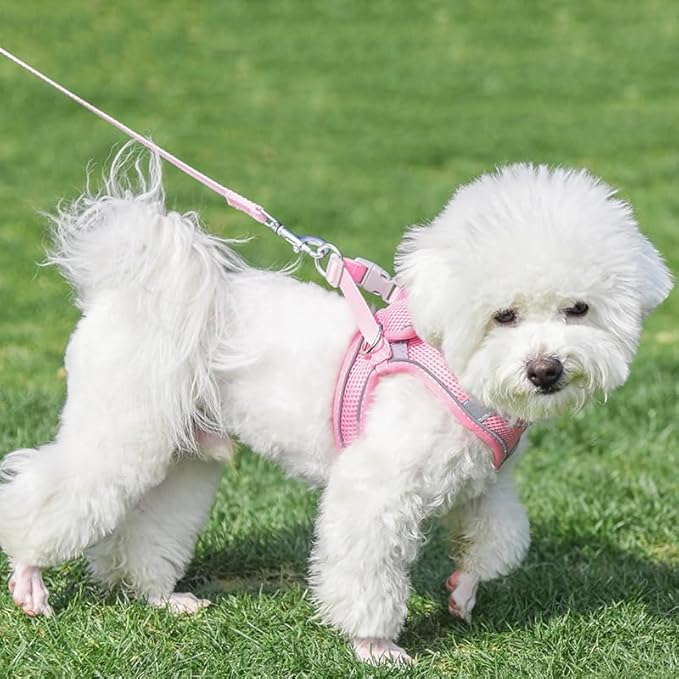 AIITLE Step in Dog Harness and Leash Set - Image 7