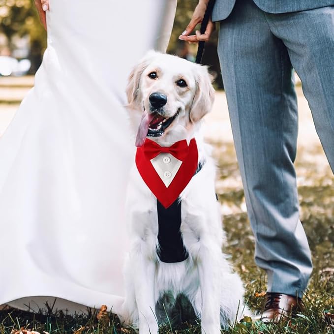 Formal Dog Tuxedo Adjustable Pet Collar - Image 5