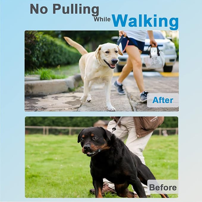 Prong Collar for Dogs, Adjustable Size Dog Training Collar Dog Pinch Collar - Image 2