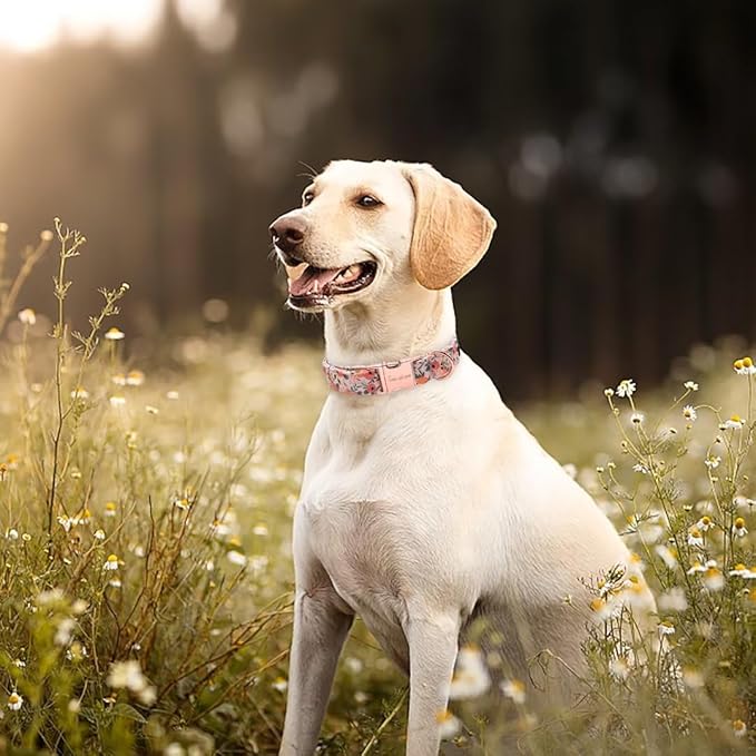 Unique style paws Dog Collar Metal Buckle Pink Rose Puppy Collar Flower Gift - Image 3