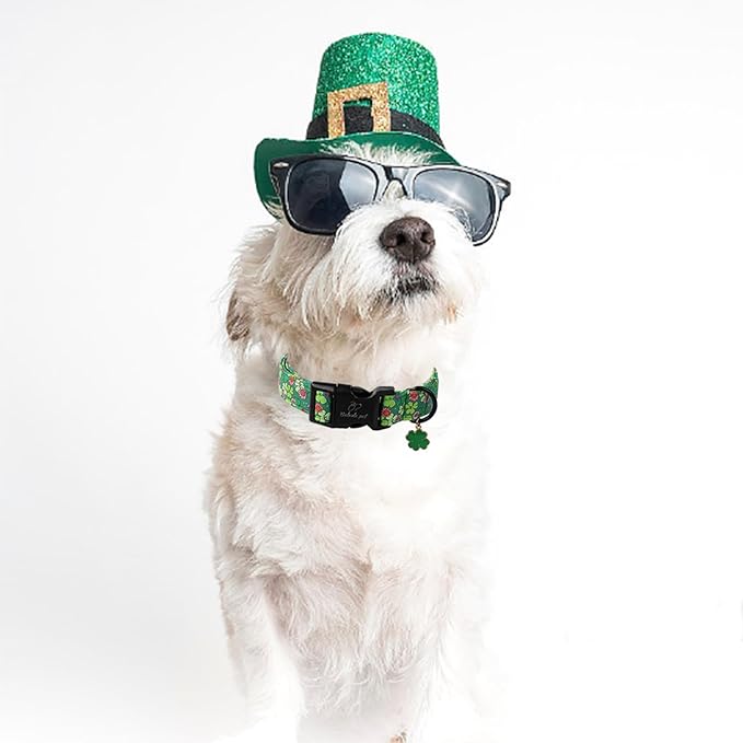 St Patricks Day Dog Collar for Giant Large Dogs - Image 5