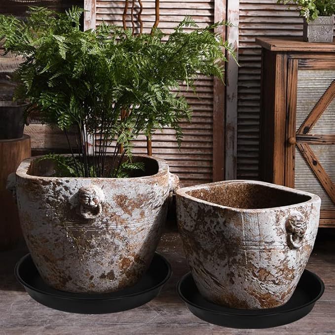 2 Pack of 18 19 inch Plant Saucer, 2.7" Depth Tray, Large Deep Garden Plastic - Image 4