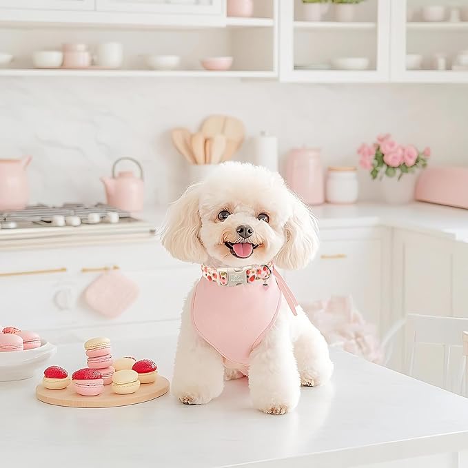 Strawberry Dog Collar for Large Dogs - Image 5