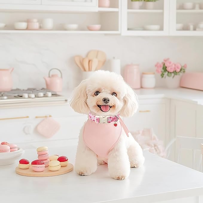 Strawberry Bow Dog Collar for Small Dogs - Image 6