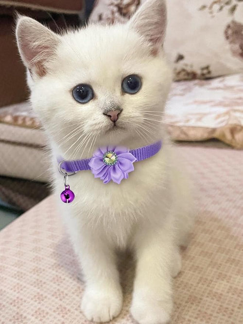 16 PCS Cute Cat Collars Breakaway - Image 2