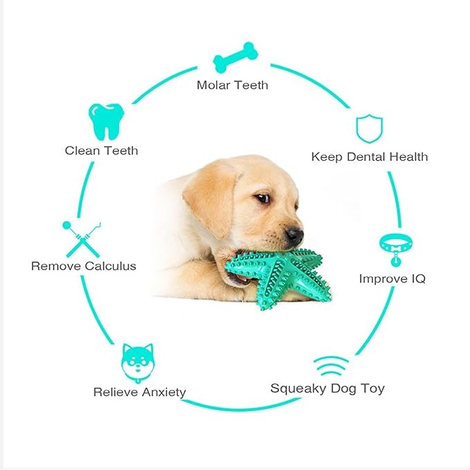 Chew Toy for Dog Toothbrush Stick Dog Toys for Aggressive Chewers Interactive - Image 6