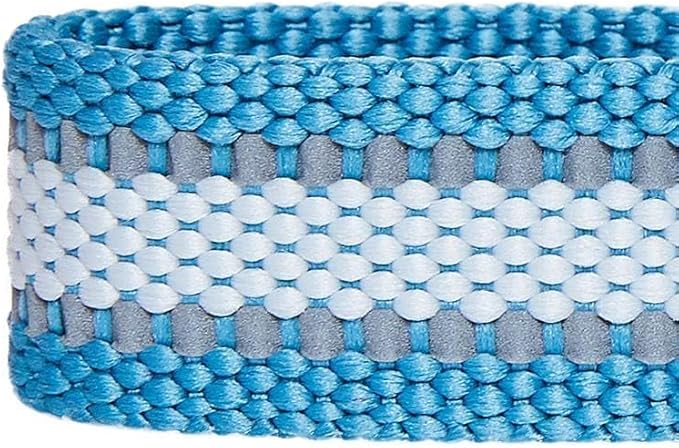 Blueberry Pet Essentials Matching Small Dog Collar | Adjustable Classic Solid - Image 7