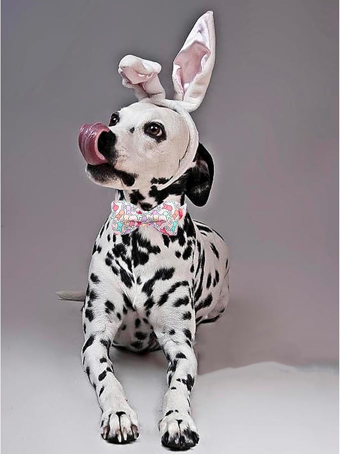 Lionheart Glory X-Small Dog & Rabbit Collar - Image 5