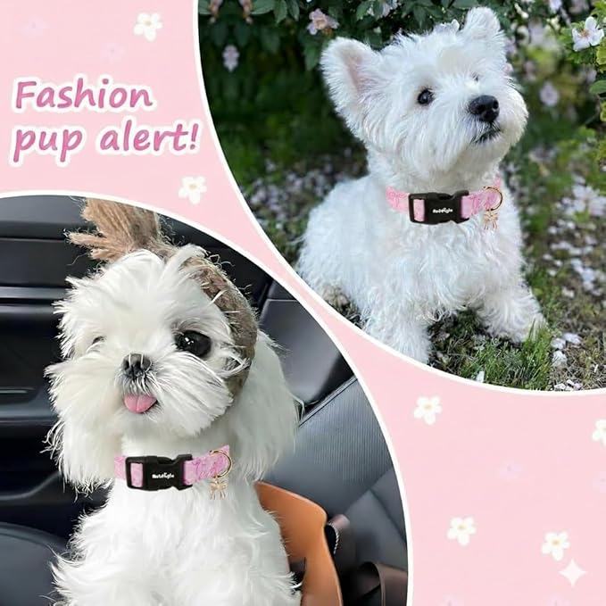 Extra Small Dog Collar, Girl Boy Dog Collars - Image 4