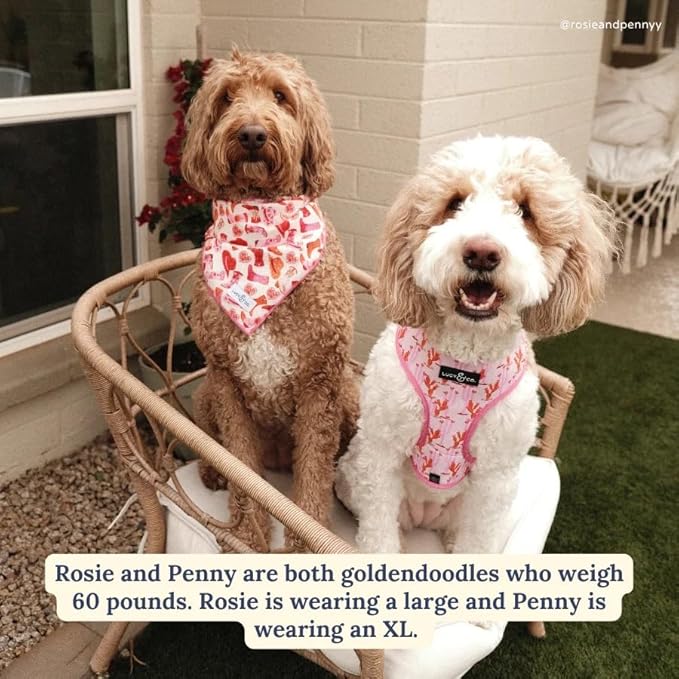 Lucy & Co. Cute Reversible Dog Harness Walking Halter - Image 9