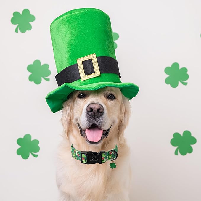 St Patricks Day Dog Collar for Medium Dogs - Image 4