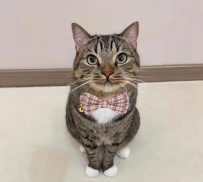 2 Pack Soft Cotton Cat Collars - Image 6