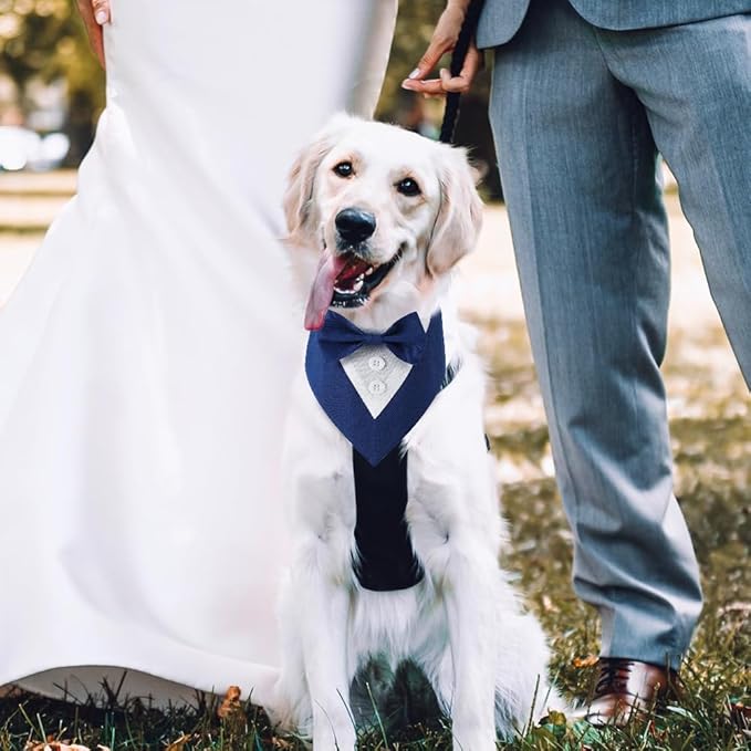 Dog Tuxedo, Formal Dog Wedding Bandana Adjustable Pet Collar - Image 5
