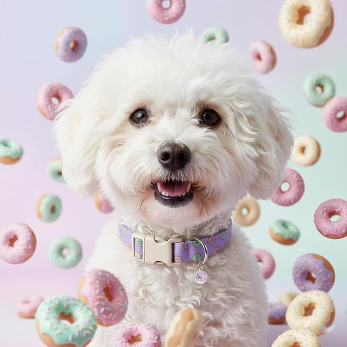 Girl Dog Collar with Unique Purple and Donut Print, Cute Dog Collar - Image 8