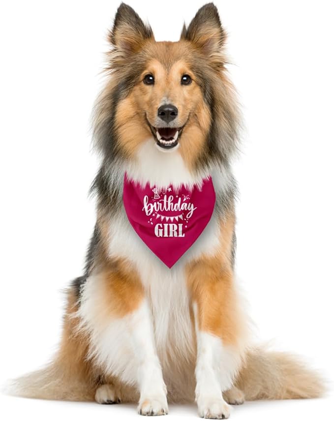 Birthday Girl Dog Bandana, Deep Pink Dog Bandana, Funny Cute Dog Bandana - Image 3