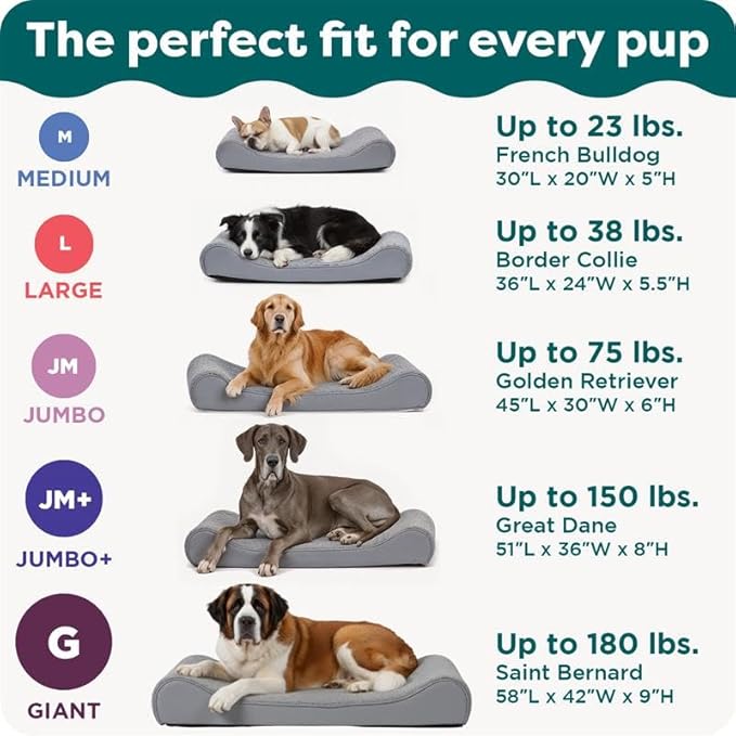 Furhaven Orthopedic Dog Bed for Large/Medium Dogs w/ Removable Washable Cover - Image 6