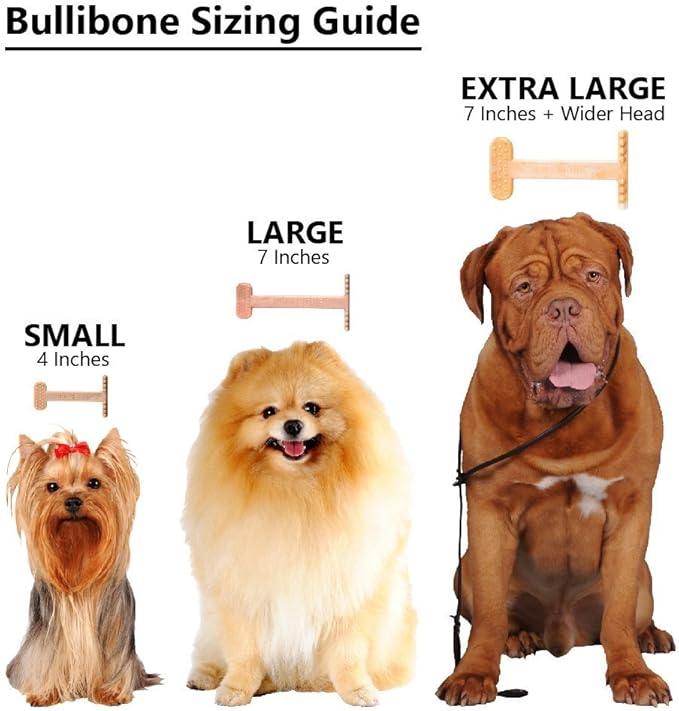 Bullibone Nylon Dog Chew Toy for Aggressive Chewers - Image 6