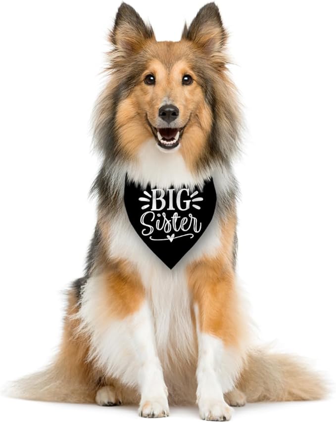 Big Sister Bandana for Dogs, Pet Pregnancy Announcement, Dog Bandanas for Large - Image 4