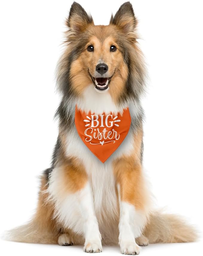 Big Sister Dog Bandana, Big Sister Bandana - Image 3