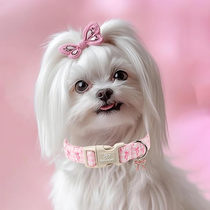 Girl Dog Collar for Puppy Small Dogs - Image 2