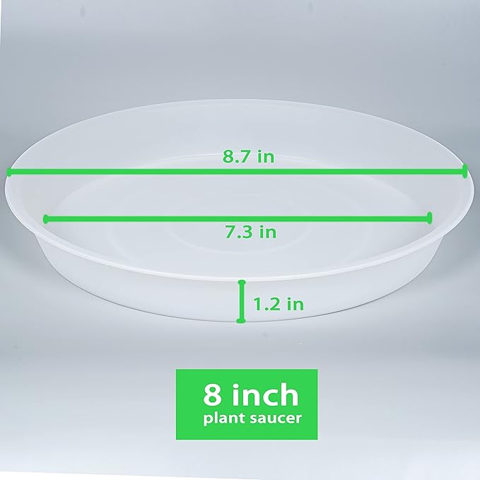 6 Pack of 8 inch Plant Saucer Clear, Heavy Duty Plastic Plant Water Tray 8 inch - Image 2