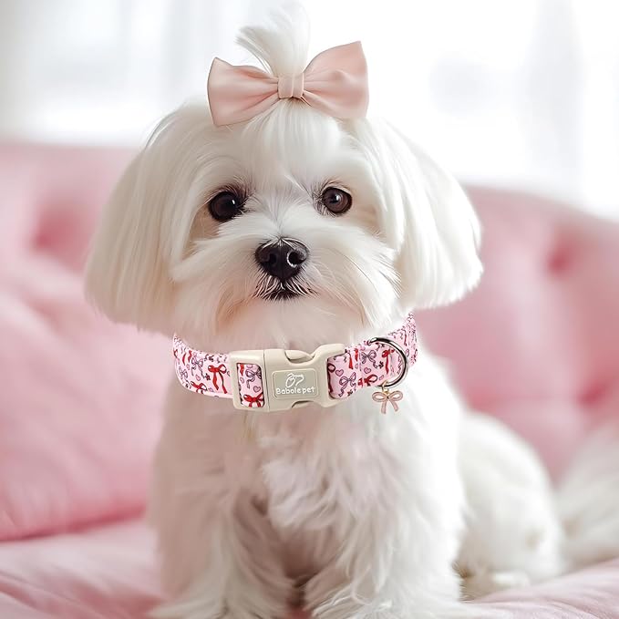 Girl Dog Collar for Small Dogs - Image 2