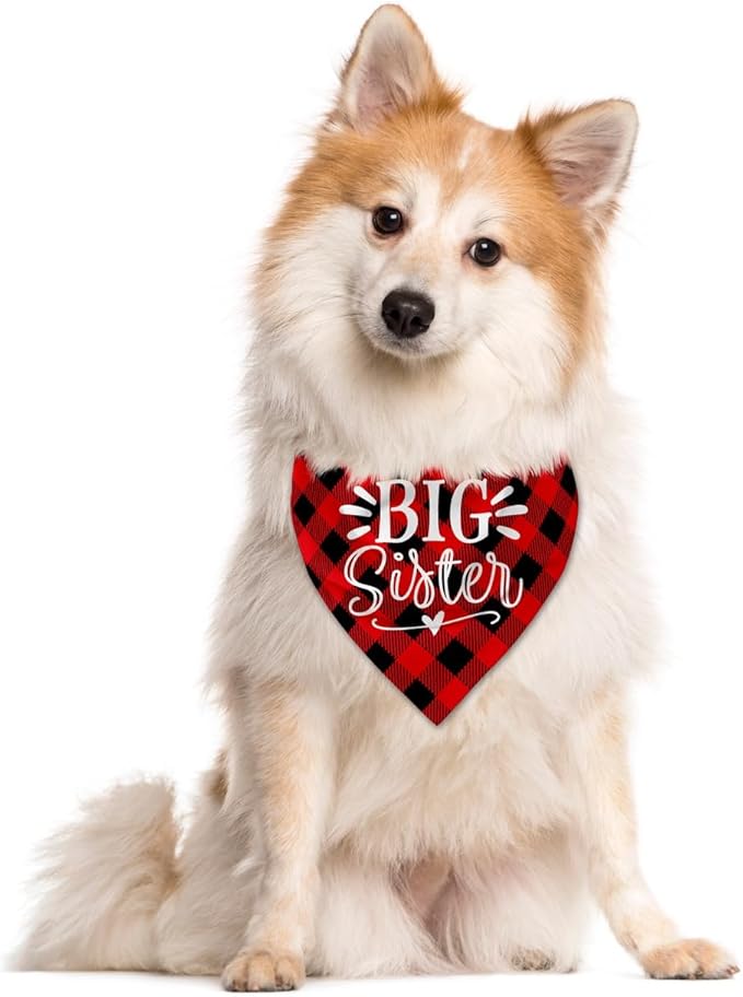 Big Sister Buffalo Plaid Plaid Plaid Blue Camo Pet Scarf Dog Bandana - Image 3