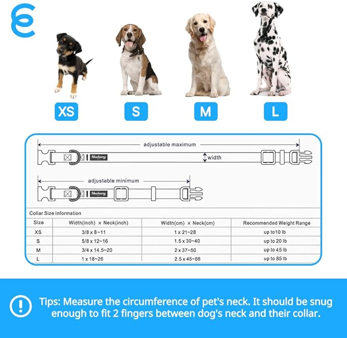 Blueberry Pet Essentials Matching Large Dog Collar | Adjustable Classic Solid - Image 9