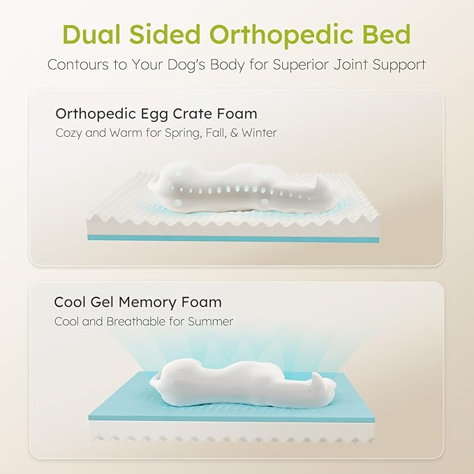 XXL Dog Bed for Extra Large Dogs, Giant Orthopedic Dog Beds - Image 2