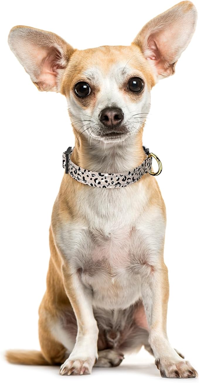 Reflective Dog Collar for Extra Small Dogs, Cute Leopard Style Adjustable - Image 2
