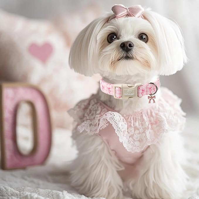 Girl Dog Collar for Puppy Small Dogs - Image 7