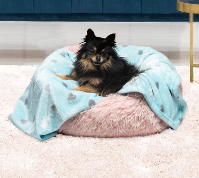 Juicy Couture Plush Flannel Pet Throw Blanket, Turquoise Juicy Scottie Hearts - Image 2