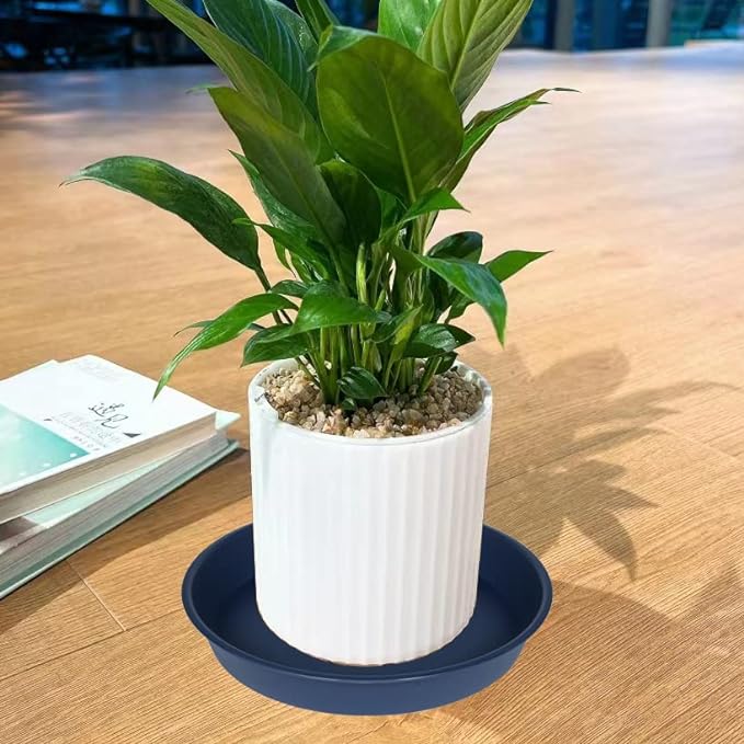 6 Pack of 7 inch Plant Saucer, Heavy Duty Plastic Plant Water Tray 7 inch Round - Image 4