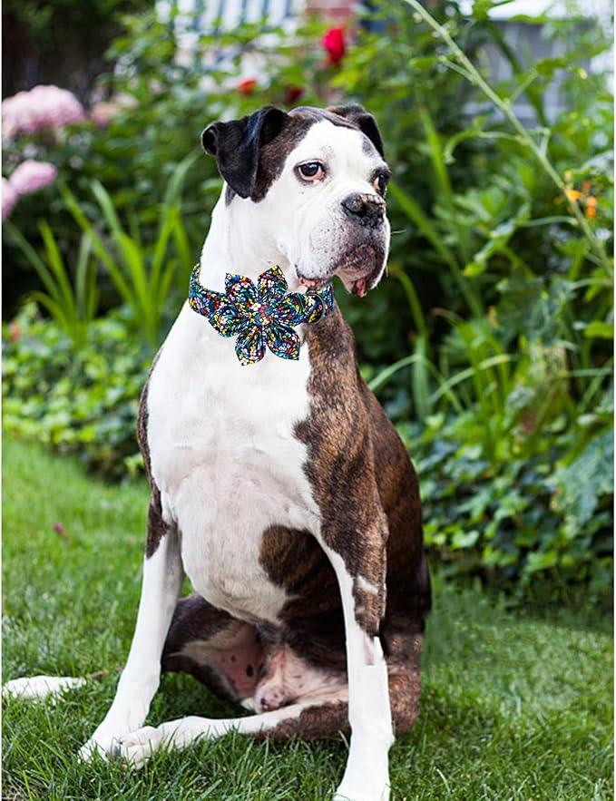Lionheart Glory Floral Dog Bow Collar - Image 6