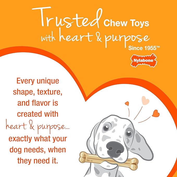 Nylabone Textured Bone Power Chew Toy - Image 12