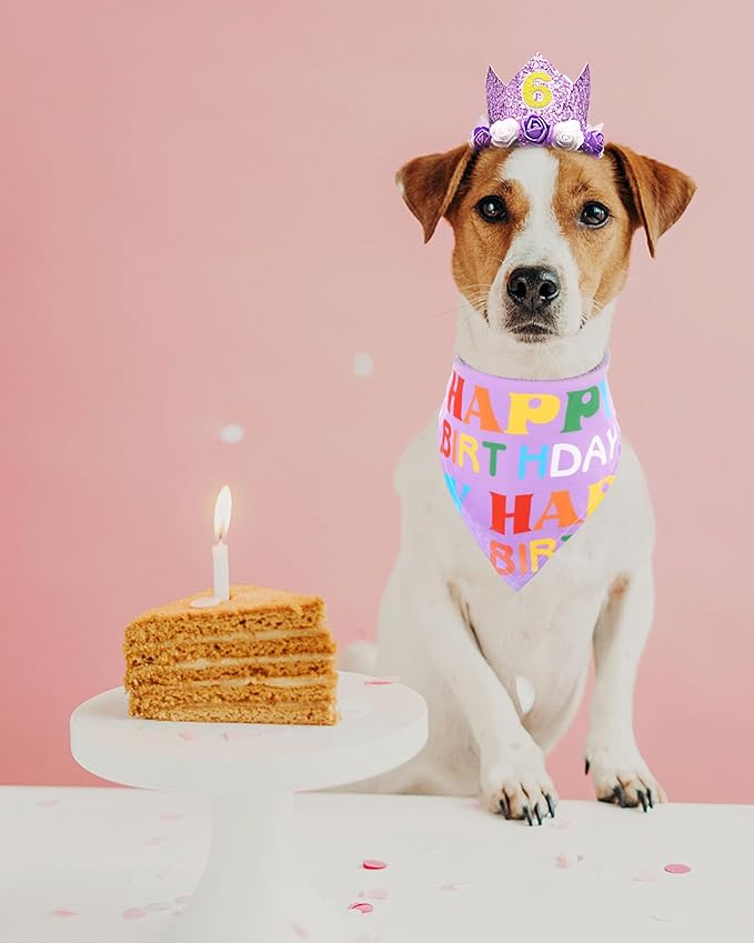 PET SHOW Purple Crown Dog Birthday Party Hat - Image 7