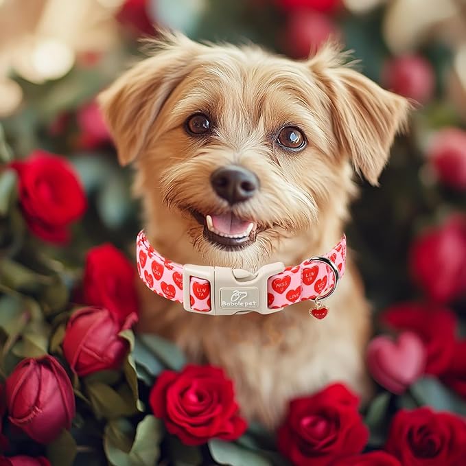 Valentines Dog Collar for Small Dogs - Image 2
