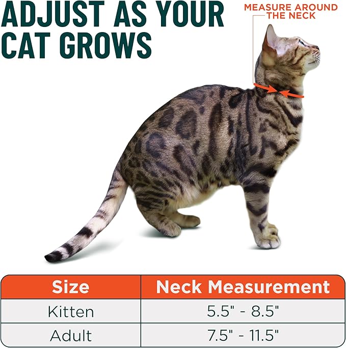 OutdoorBengal Pink Cat Collar Breakaway - Image 5