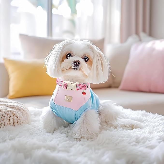 Strawberry Bow Dog Collar for Medium Dogs - Image 5