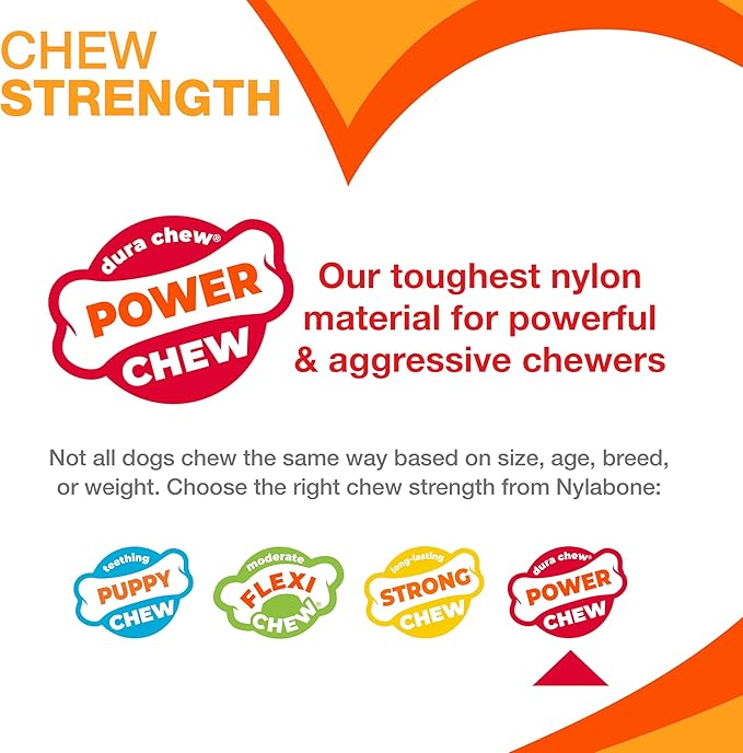 Nylabone Original Bone Power Chew Toy Value Pack - Image 4