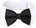 Segarty Bow Tie Cat Collar for Neck Girth 8.8-10.5 in, Tux Puppies Dog Bowtie by Segarty