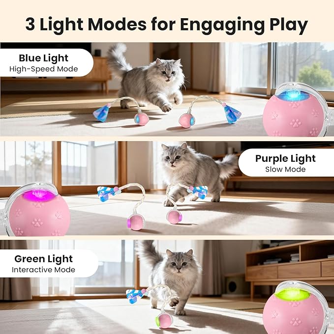Rocfish Durable Interactive Cat Toys - Image 3